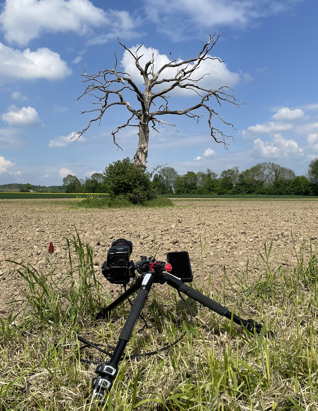 Appareil photo sur trépied dans un champ à Vullierens, devant l'arbre photographié pour The Otherworld